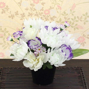   et[AWA[eBtBVt[ ԌG}oreNI@F20cm