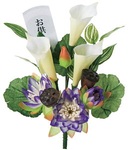   nX 1{A[eBtBVt[ ԏLR G}oreNI23cm