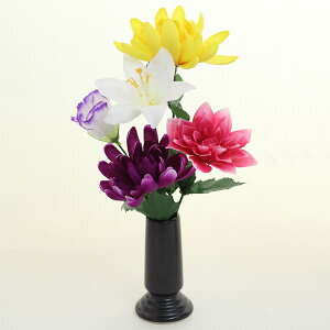 e  _ LLE AW ZĂ픫t A[gt[  LR G}oreNI      ~ ފ ފ AW