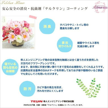 送料無料,母の日,プレゼント,花束,ギフト,花鉢,鉢花
