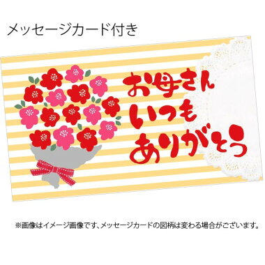 送料無料,母の日,プレゼント,花束,ギフト,花鉢,鉢花