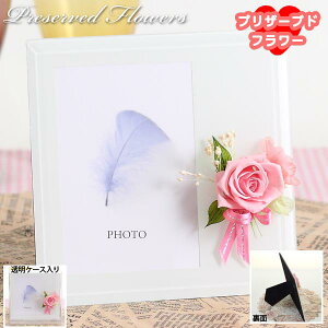 vU[uht[ tHgt[vU[uht[ Mtg݌ɏi