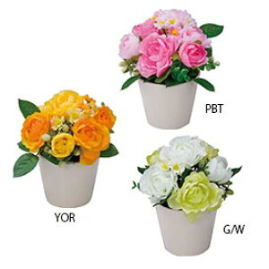 [Y AW SA[gt[()LR G}oreNI20cm