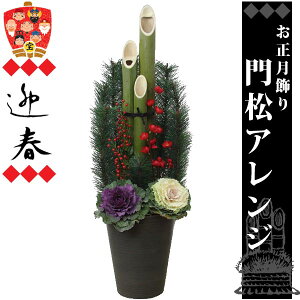 叼 YVR|gp 80cm×26cm×s25cm 1̉ił  r[   }t @l CeA kadomatu 2470