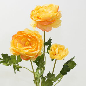 iLX CG[ ԍ މԒa8cm×62cm ranankyurasu333909y