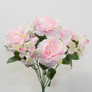 [Y AWTC ubV sN ԍ މԌa[Y8cm×AWTC5cm×37cm