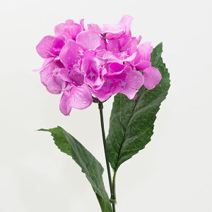 AWTC ԍ މԒa10cm×50cm