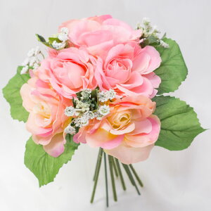 [Y u[Poh(sN) ԍ މԌa7cm×20cm