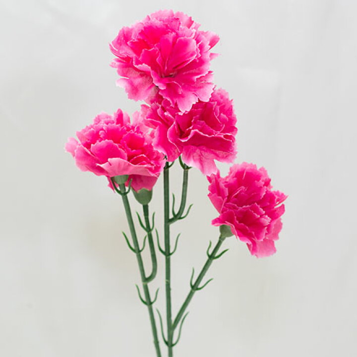 楽天市場 1本注文okカーネーションスプレー造花 花材 資材花径6cm 長さ57cm 花と緑のはなここ