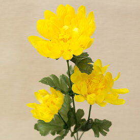 マム 菊 イエロー造花 花材 資材花径7cm×長さ57cm kiku0725