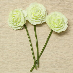 [Y \tg^b` ԍ މԌa6cm×16cm