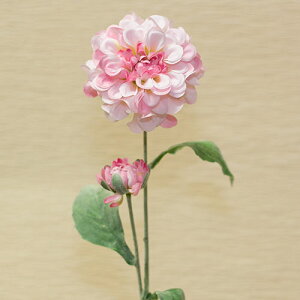 _A sN ԍ މԌa7cm×45cm