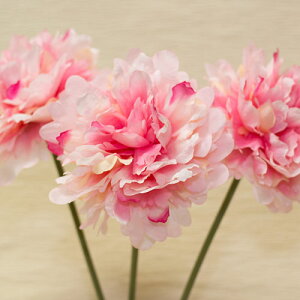 sIj[ 䉖 3{gsN ԍ މԌa13cm×28cm syakuyaku4041lpl