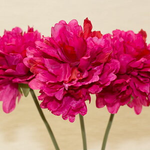 sIj[ 䉖 bh ԍ މԌa13cm×28cm syakuyaku4041red