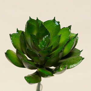 A GPxA sbN ԍ ޗta4cm×7cm