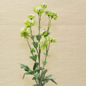 AXgeBA AXg`A ԍ ޒ65cm