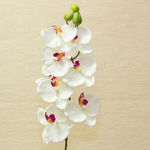 Ӓ zCg ԍ މԌa9cm×86cmzɉ̕܂ȂĂ͂܂B