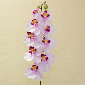 Ӓ sN ԍ މԌa11cm×103cmzɉ̕܂ȂĂ͂܂B