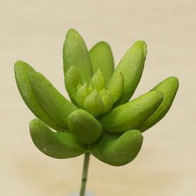 セダム 多肉植物造花 花材 資材葉径6cm×長さ10cm fd4940
