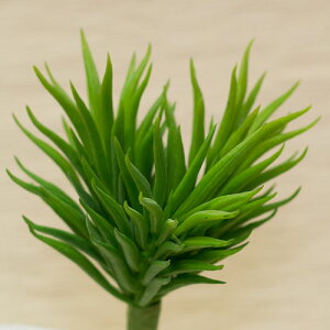 Z_ ԍ ޒ14cm