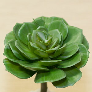 GP׃A ԍ ޗta9cm×13cm