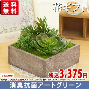 多肉植物 寄せ植え 庭 観葉植物の人気商品 通販 価格比較 価格 Com