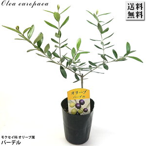 I[u 3.5 o[f x_[ c I[uIC sNX ʎ  LO Ύ A K[fjO | 