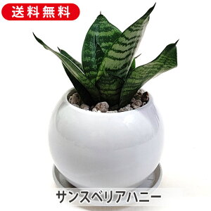 TXxA nj[ 픫 vMt C ϗtA O[ A   CeA  rO v[g Mtg  킢  j a a 