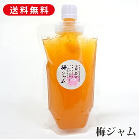 完熟 梅ジャム 180g×1袋 スパウトパウチ まち付で自立 ジャム 用途 朝食 昼食 夕食 ヨーグルト パン 梅サワー 梅シロップ