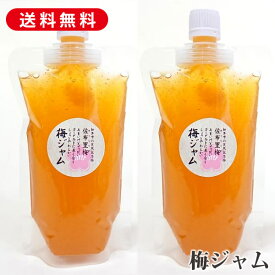 完熟 梅ジャム 180g×2袋 スパウトパウチ まち付で自立 ジャム 用途 朝食 昼食 夕食 ヨーグルト パン 梅サワー 梅シロップ