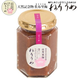 ねりうめ 梅干しペースト 天然記念物 佐布里梅 無添加 (150g×1個) または(150g ×6個)