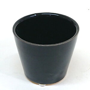 픫 Aؔa7.5cm×6.5cm