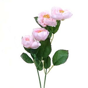 rrA[Y ԍ މԒa4cm×46cm bara2808