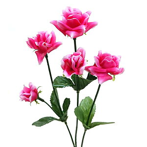  _Ch[Y sNLRۉHԌa7cm×75cm 1{ bara2889bty