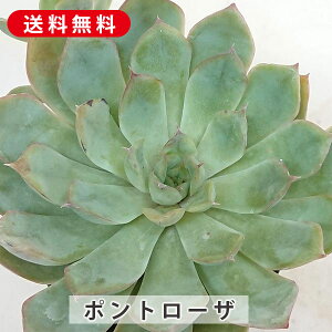 A |g[U GPxA Jbgc  񂹐A A ₵ c Jbgc  ϗtA  t} CeA   G CeA  rO 