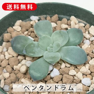 A y^h Ovg׃A Jbgc A  񂹐A A ₵ c Jbgc  ϗtA  t} CeA   G CeA 