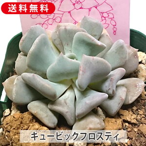 A L[rbNtXeB L[rbNtXg GPxA Jbgc  񂹐A A ₵ c Jbgc  ϗtA  t}   G Ce