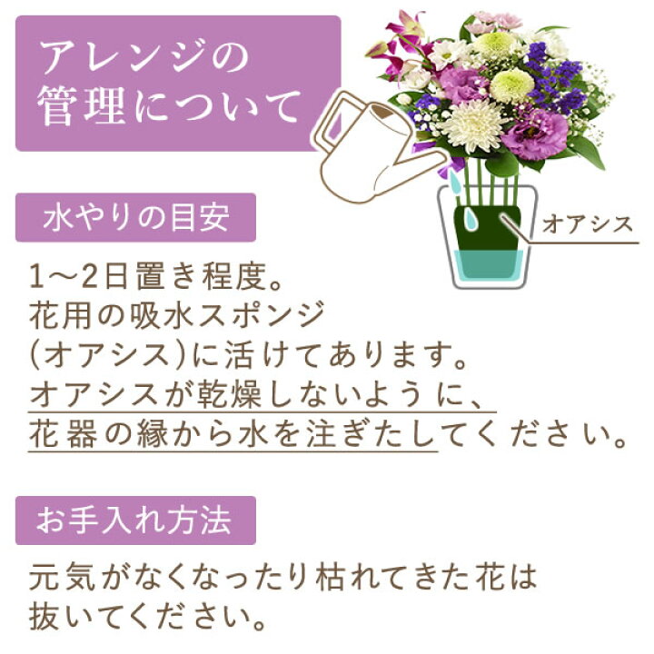 楽天市場 あす楽12時 お供え 花 お供え花 アレンジメント おまかせ 生花 仏壇用 49 日 故人 仏花 命日 法事 法要 新盆 初盆 一周忌 お彼岸 お盆 お悔やみ アレンジ 花束 即日発送 カード 送料無料 人気 ランキング お供え 用 の 花