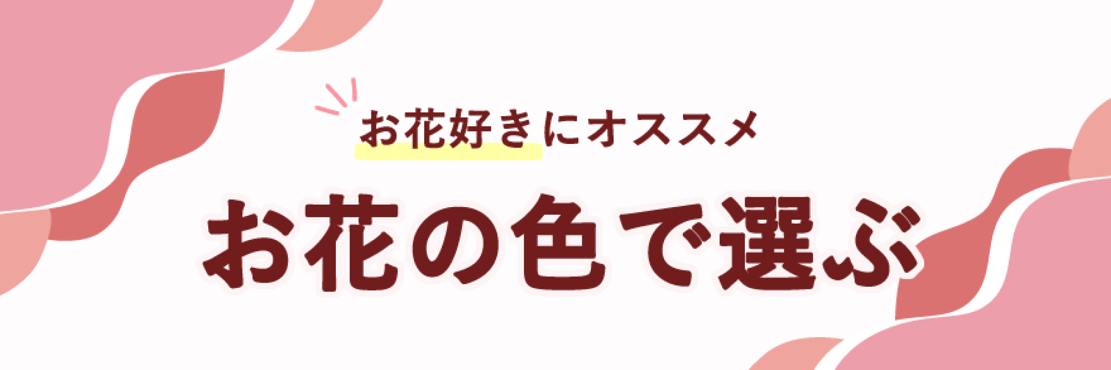 カーネーションの色別花言葉
