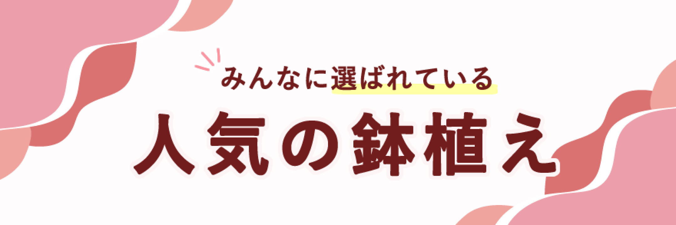 みんなに選ばれている人気の鉢植え