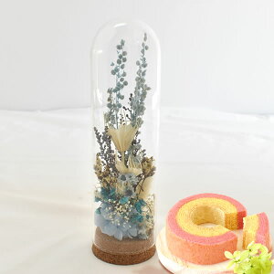 _ŋzI^ av[g j Mtg  hCt[ t[AWg 蕨  P[X KXh[ {g ~j  킢 u CeA  