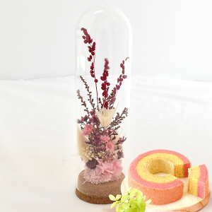 _ŋzI^ av[g j Mtg  hCt[ t[AWg 蕨  P[X KXh[ {g ~j  킢 u CeA  