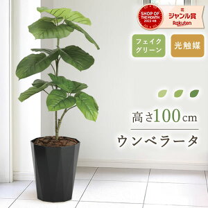 tFCNO[ ϗtA  tFCN  ~j  TChe[u ^ I   CeA  킢 AX[ pL Xe tBJX Ex[^ G