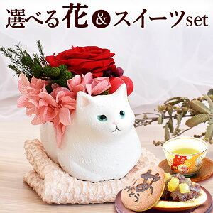 yX[p[SALE|Cg3{Iz _ŋzI^ av[g L LObY LD zCgf[ ݂˂  FB e j G ސEj Mtg  j aَq o KN v