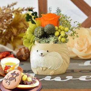 _ŋzI^ av[g  j ސEj Mtg vU[uht[ AWg   ObY G CeA D Aj}   j j  