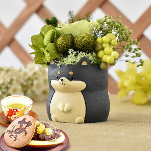 _ŋzI^ av[g  j ސEj Mtg vU[uht[ AWg   ObY G CeA D Aj}   j j  