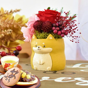 _ŋzI^ av[g  j ސEj Mtg vU[uht[ AWg   ObY G CeA D Aj}   j j  