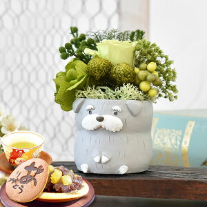 _ŋzI^ av[g  j ސEj Mtg vU[uht[ AWg   ObY G CeA D Aj}   j j  