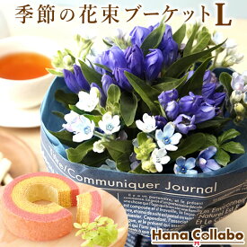 楽天市場 フリージア 花束の通販 楽天市場 フリージア 花束の通販