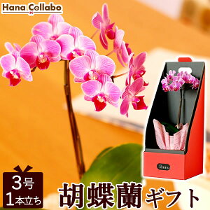  av[g Ӓ ~fBӒ 3  A 1{   e  ΂ j FB j  j Mtg j җj oYj Ŗm a